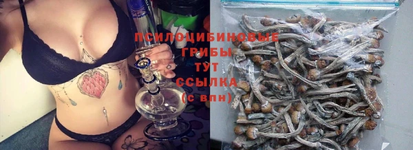 a pvp Алексин