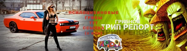 бутират Алзамай