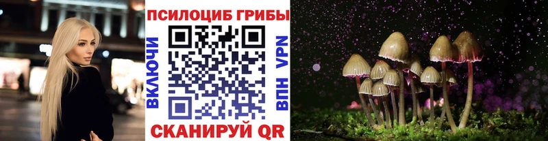 hydra сайт  Нурлат  Галлюциногенные грибы мицелий 