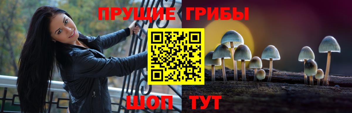 Нурлат  Галлюциногенные грибы GOLDEN TEACHER  Вход с VPN  Псилоцибиновые грибы Psilocybine cubensis 